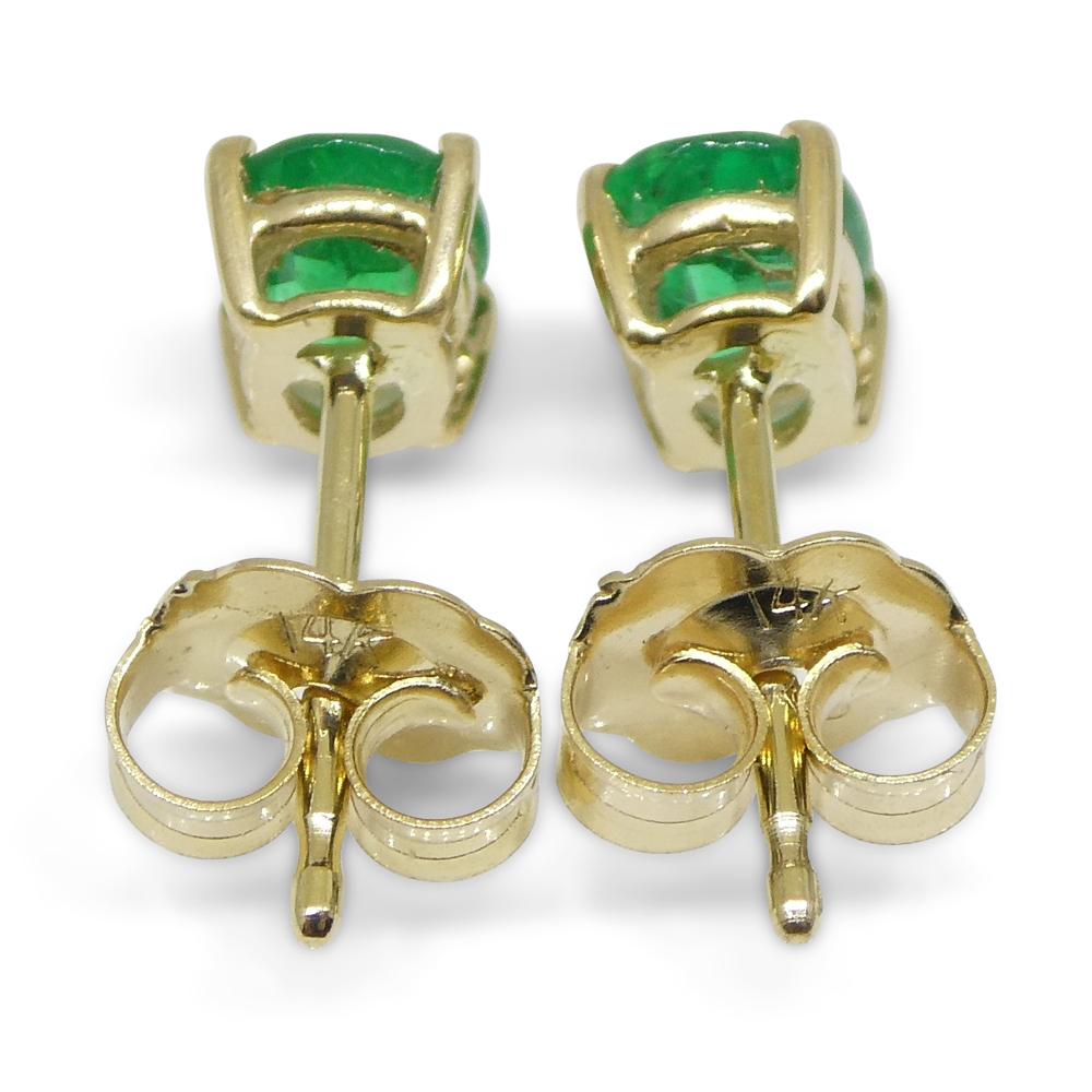 0.6ct Oval Green Colombian Emerald Stud Earrings set in 14k Yellow Gold For Sale 6