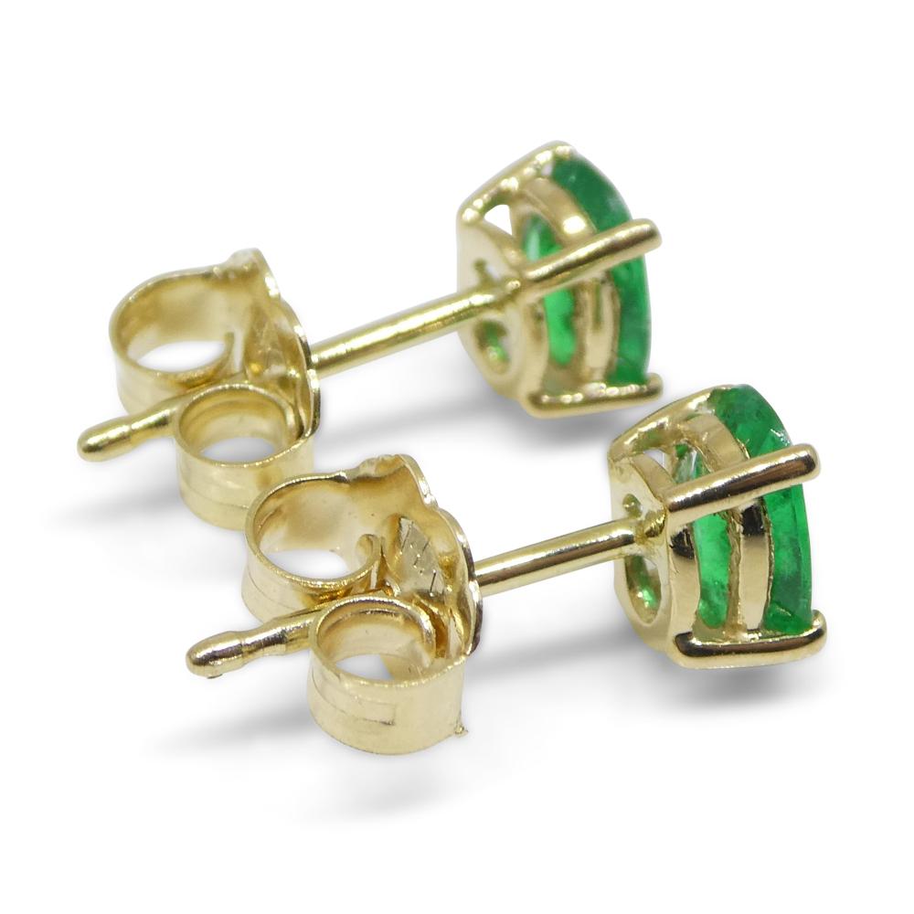 0.6ct Oval Green Colombian Emerald Stud Earrings set in 14k Yellow Gold For Sale 8