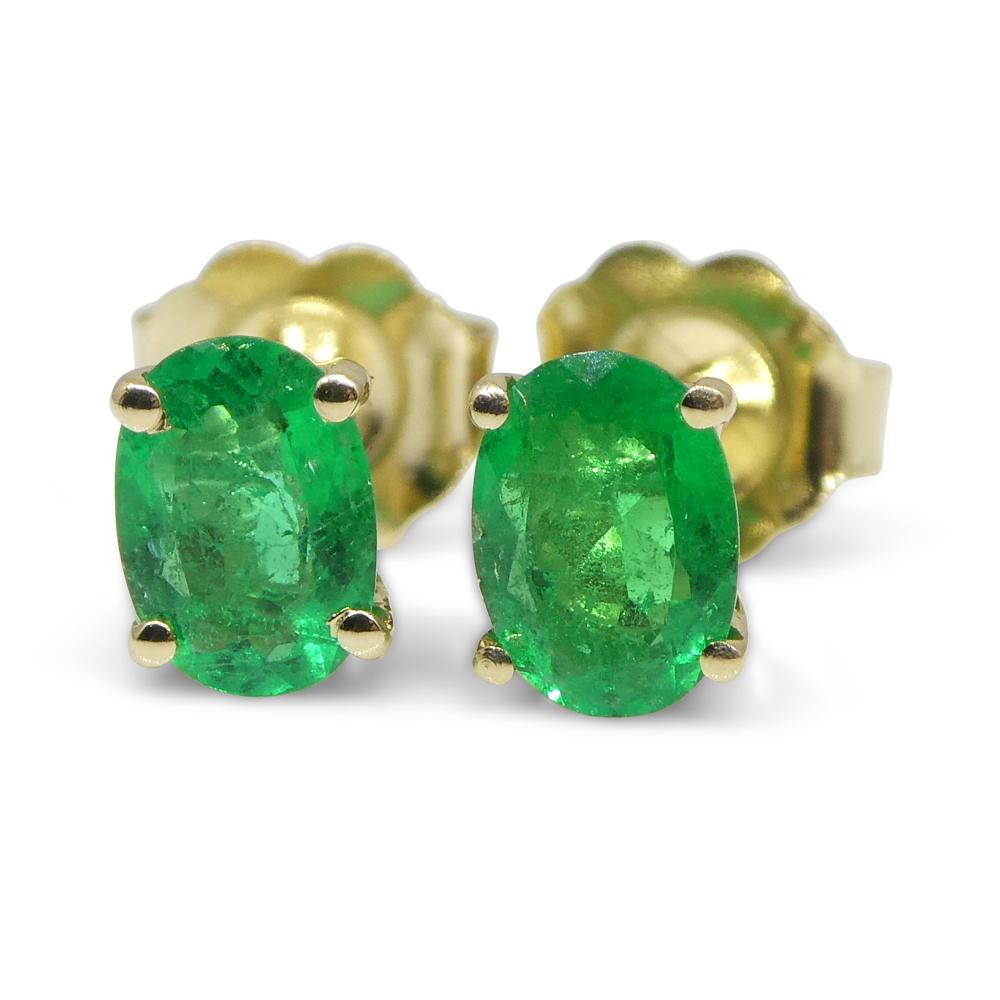 0.6ct Oval Green Colombian Emerald Stud Earrings set in 14k Yellow Gold For Sale 10