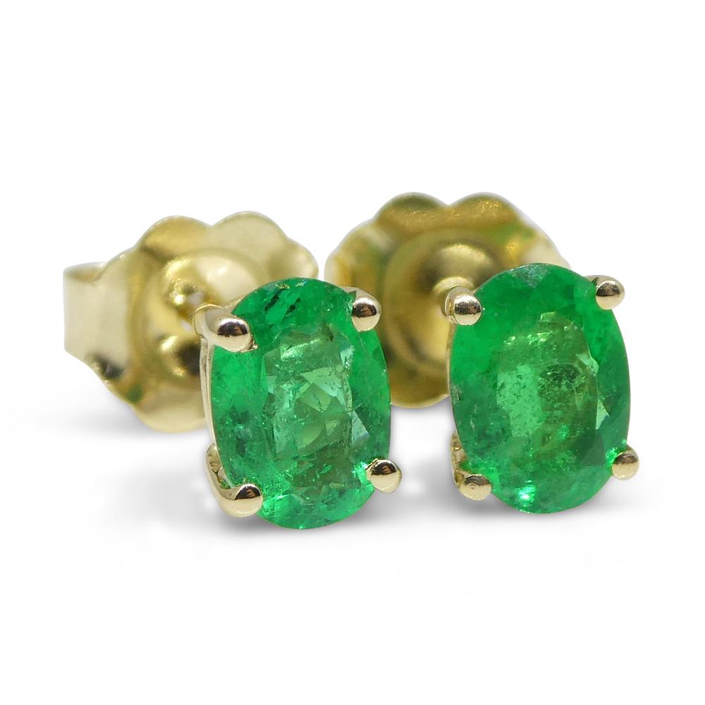 0.6ct Oval Green Colombian Emerald Stud Earrings set in 14k Yellow Gold For Sale 11