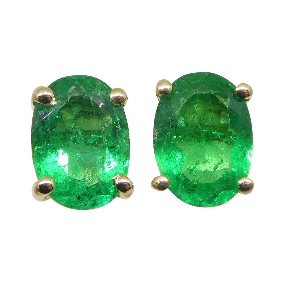 0.6ct Oval Green Colombian Emerald Stud Earrings set in 14k Yellow Gold In New Condition For Sale In Toronto, Ontario