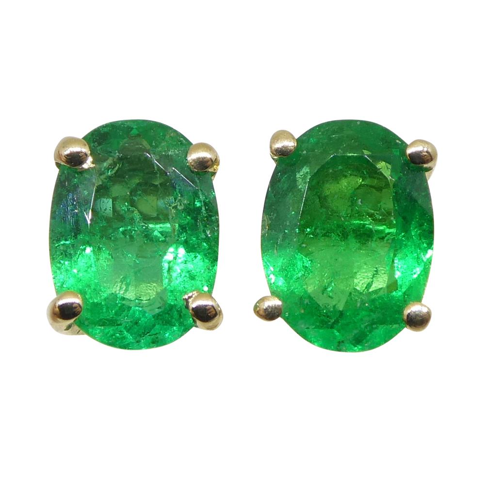 Women's or Men's 0.6ct Oval Green Colombian Emerald Stud Earrings set in 14k Yellow Gold For Sale