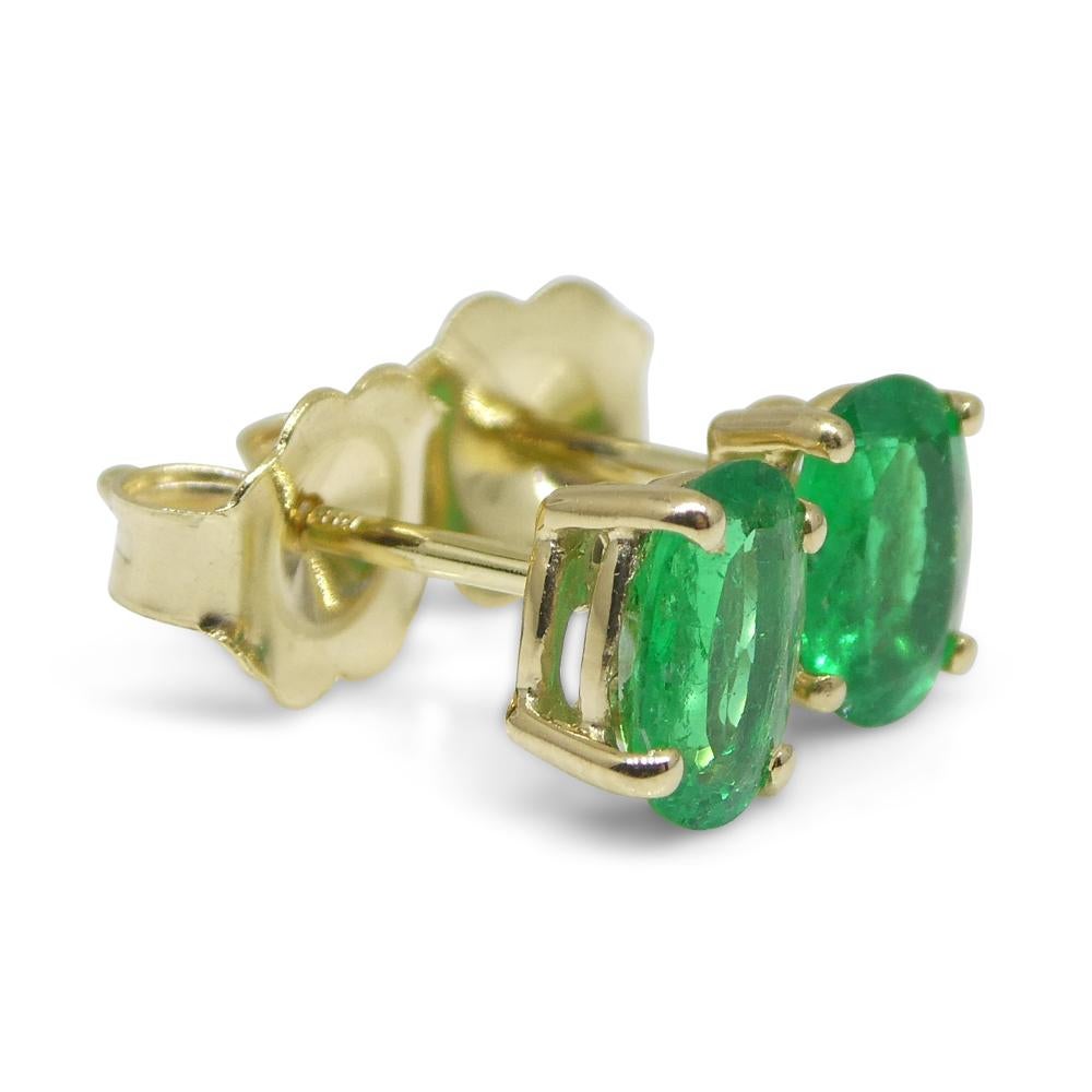 0.6ct Oval Green Colombian Emerald Stud Earrings set in 14k Yellow Gold For Sale 3