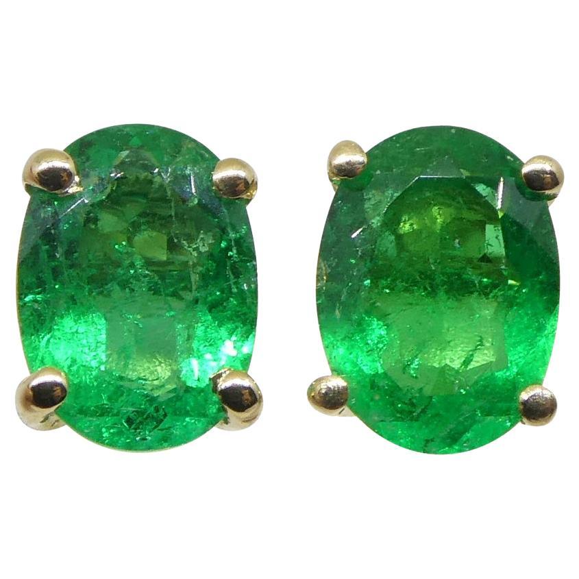 0.6ct Oval Green Colombian Emerald Stud Earrings set in 14k Yellow Gold For Sale