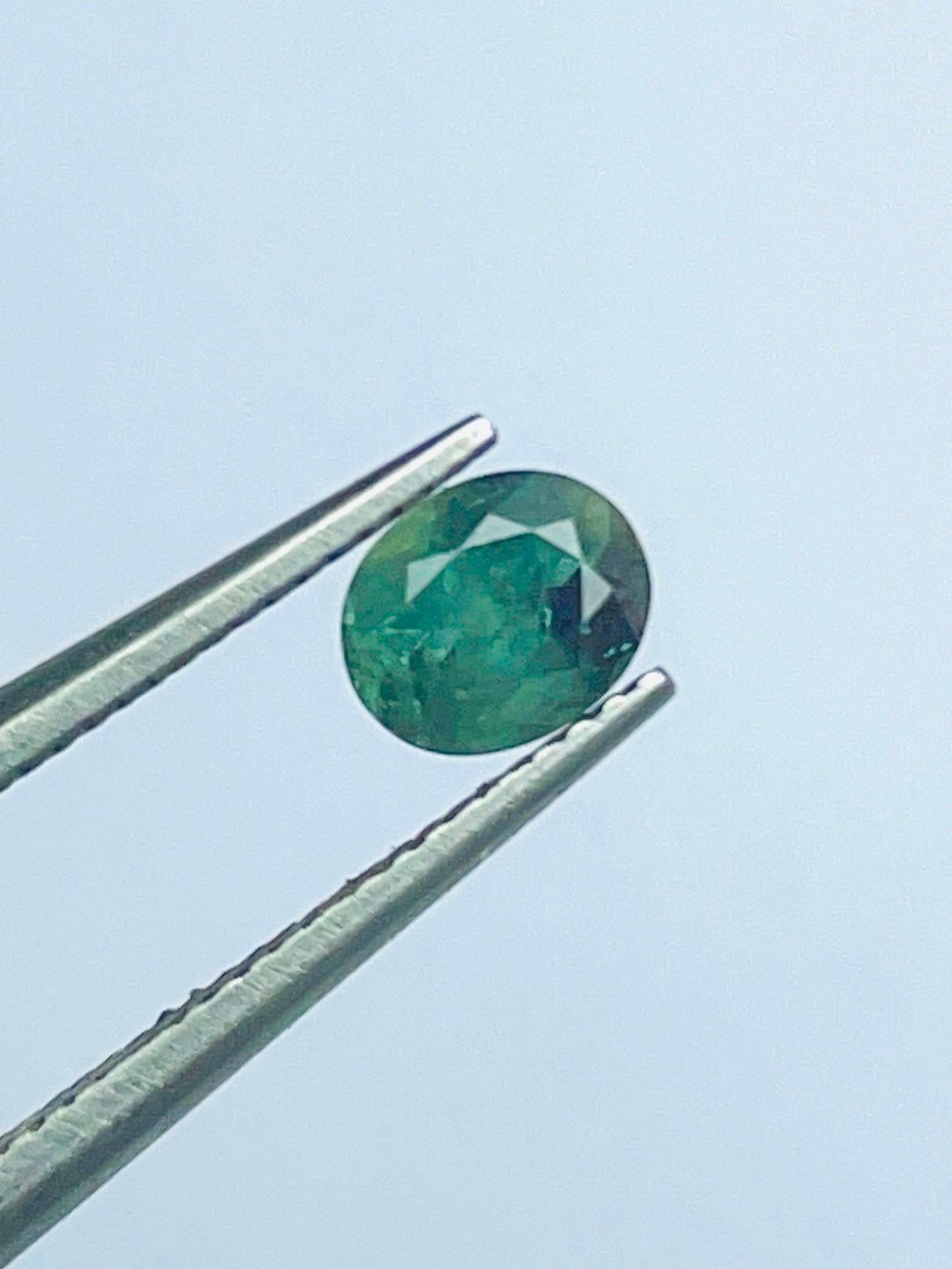 0.71 Ct Rare Russia Alexandrite change to red color from green semi Transparent im Angebot 5