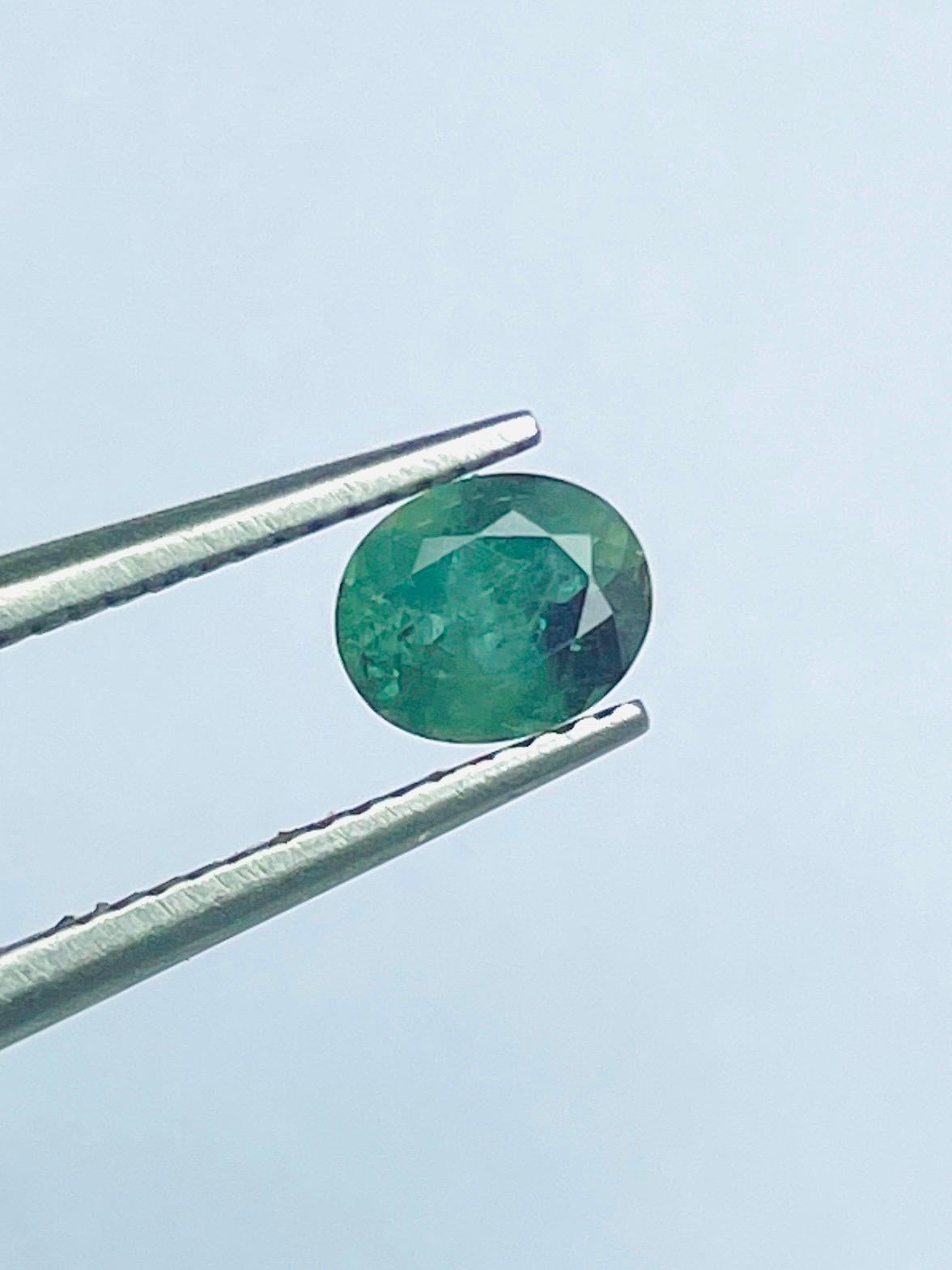 0.71 Ct Rare Russia Alexandrite change to red color from green semi Transparent im Angebot 7