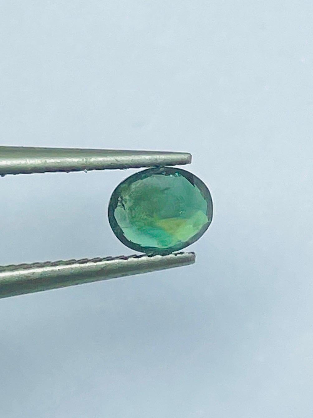 0.71 Ct Rare Russia Alexandrite change to red color from green semi Transparent im Angebot 9