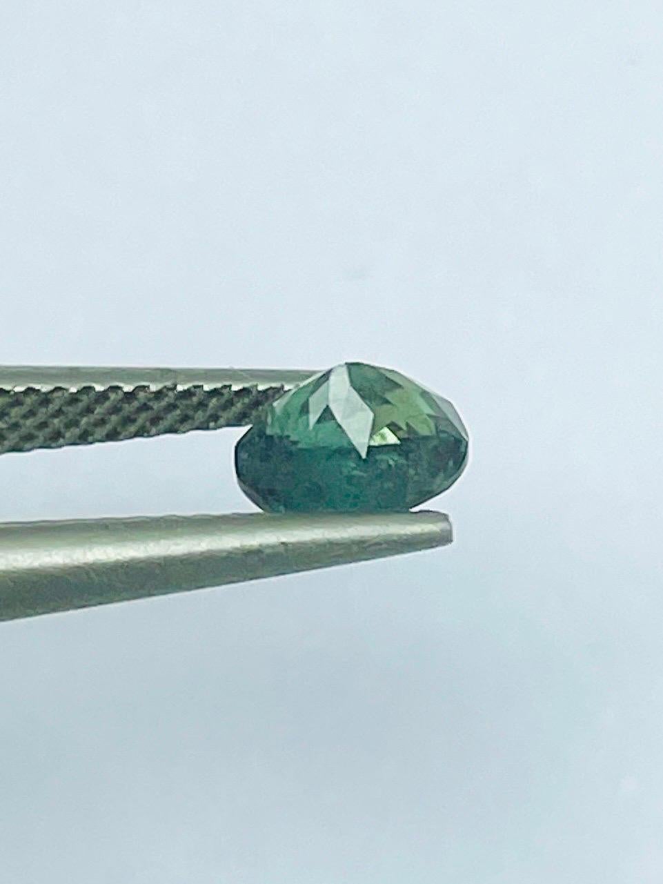 0.71 Ct Rare Russia Alexandrite change to red color from green semi Transparent im Angebot 11