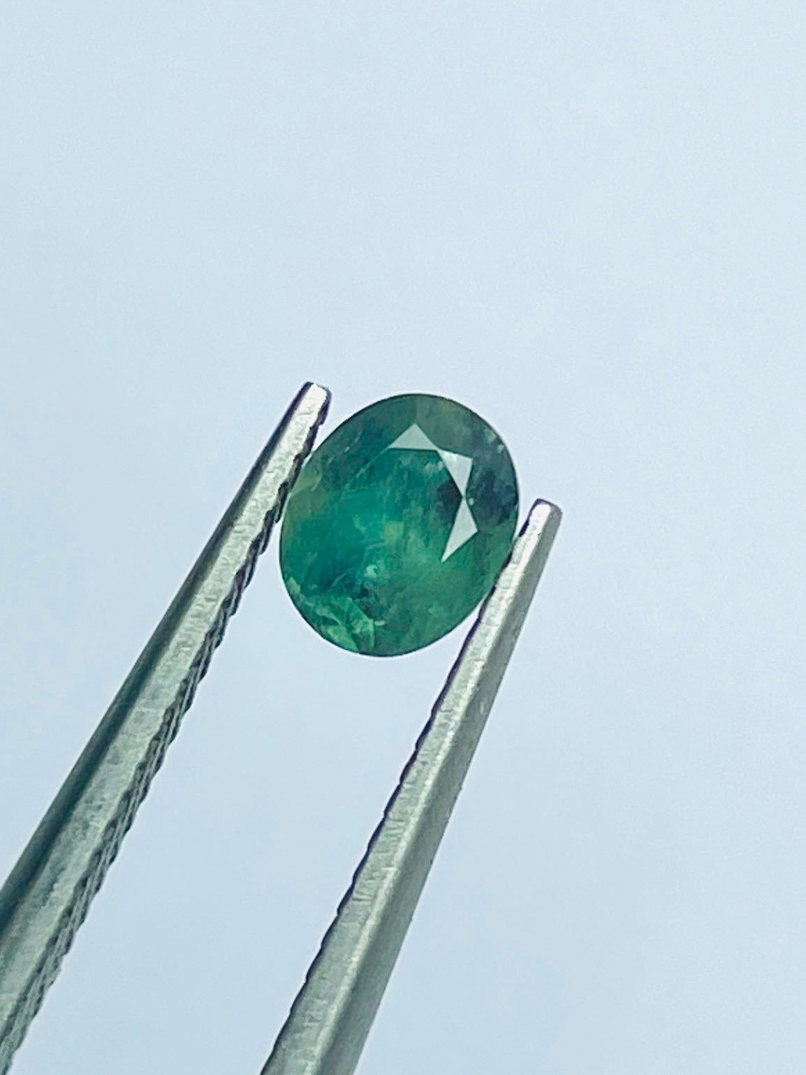 0.71 Ct Rare Russia Alexandrite change to red color from green semi Transparent im Angebot 1