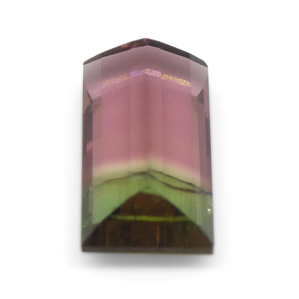 0.75ct Emerald Cut Pink & Green Bi-Colour Tourmaline from Brazil For Sale 9