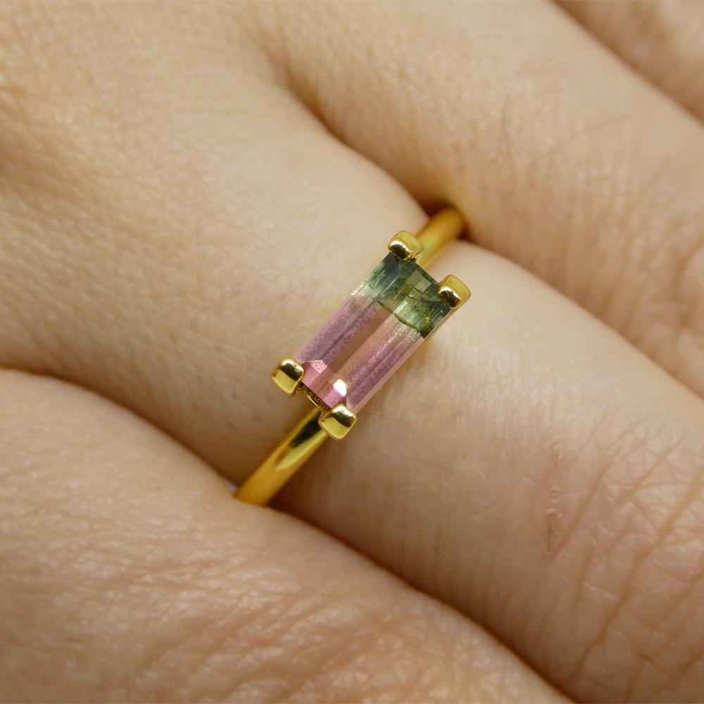 Description:

Gem Type: Bi-Colour Tourmaline
Number of Stones: 1
Weight: 0.75 cts
Measurements: 7.45 x 3.79 x 2.82 mm
Shape: Emerald Cut
Cutting Style Crown: Step Cut
Cutting Style Pavilion: Step Cut
Transparency: Transparent
Clarity: Slightly
