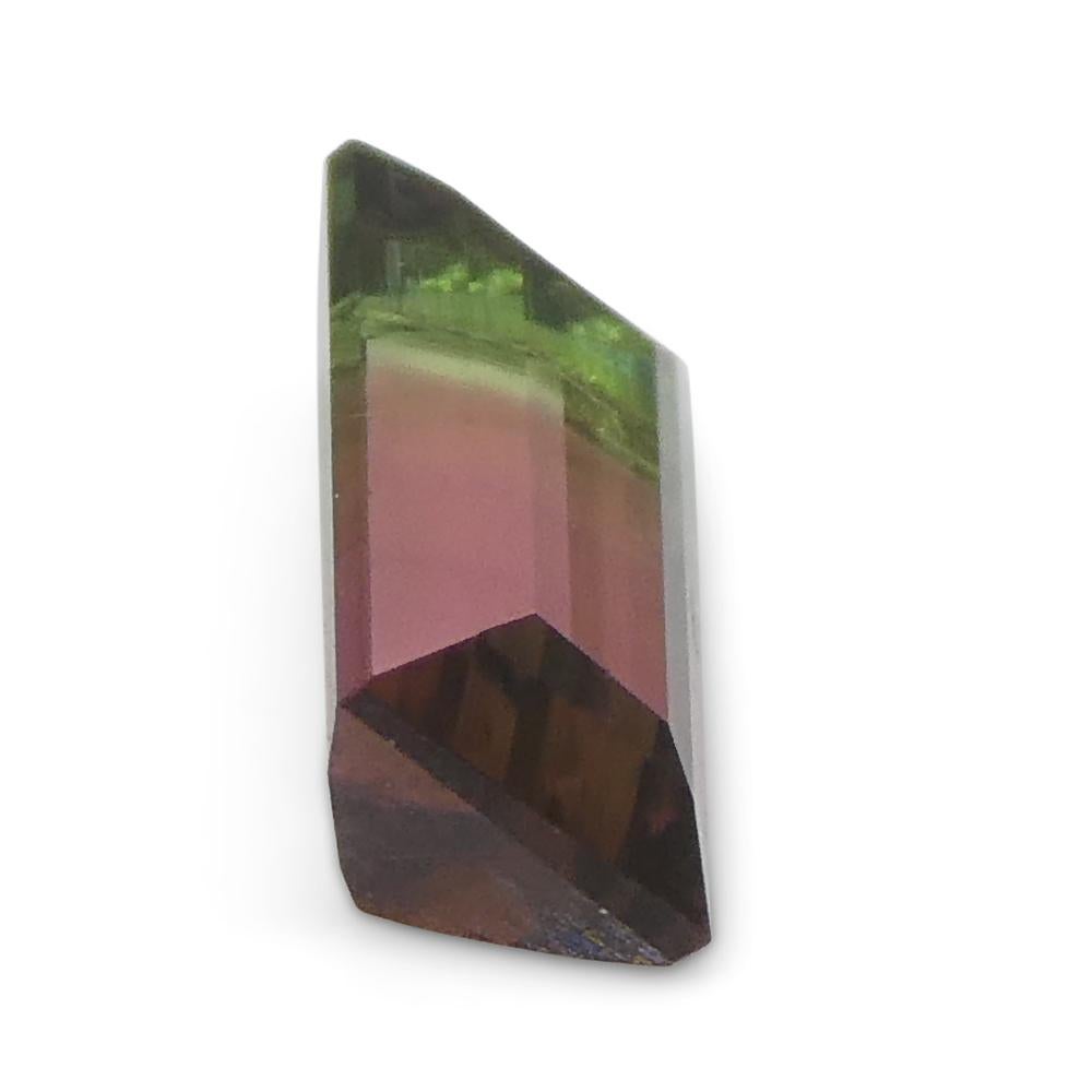 0.75ct Emerald Cut Pink & Green Bi-Colour Tourmaline from Brazil For Sale 3