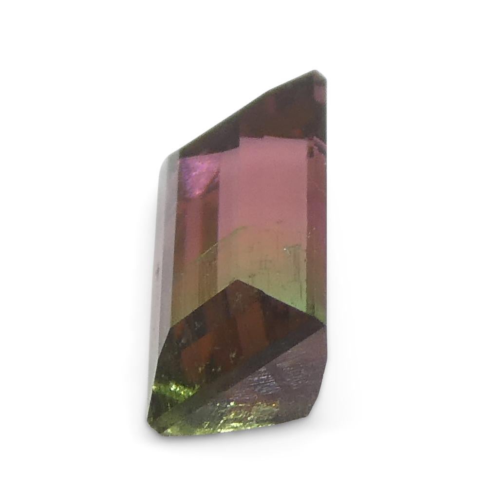 0.75ct Emerald Cut Pink & Green Bi-Colour Tourmaline from Brazil For Sale 5