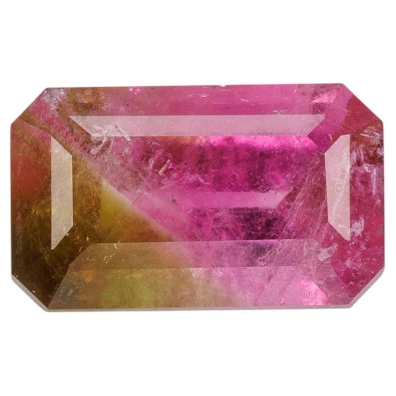 0.76 cts, Faceted bi color tourmaline For Sale