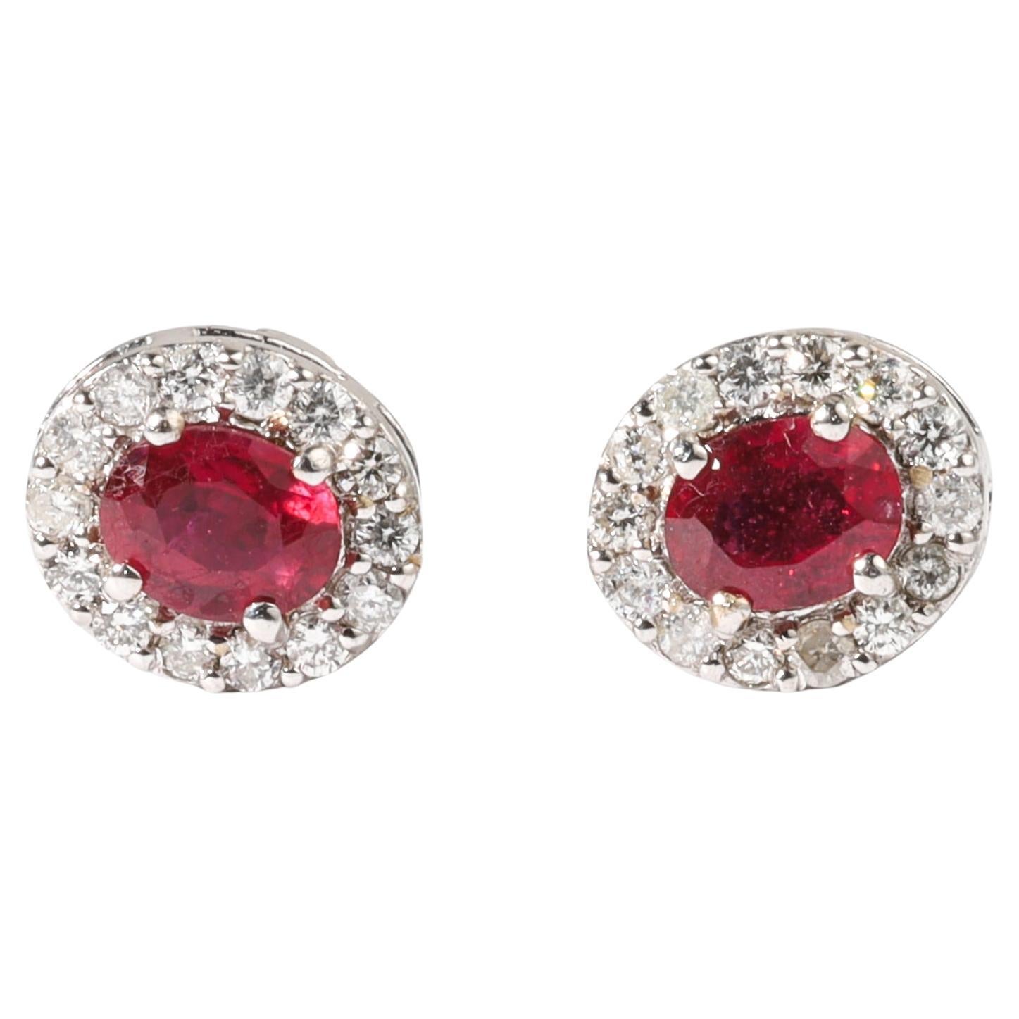 Boucles d'oreilles halo en or blanc 18 carats, rubis rouge naturel de taille ovale de 0,7 ct et diamants