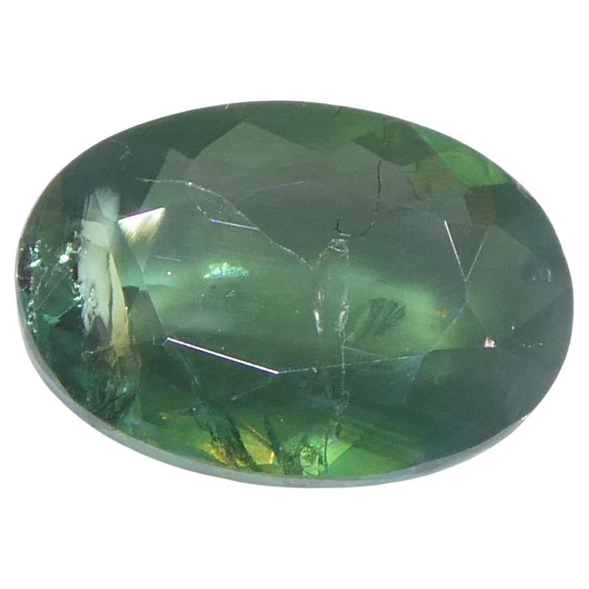0,7 ct Alejandrita ovalada verde a púrpura grisácea certificada por la GIA India sin calentar