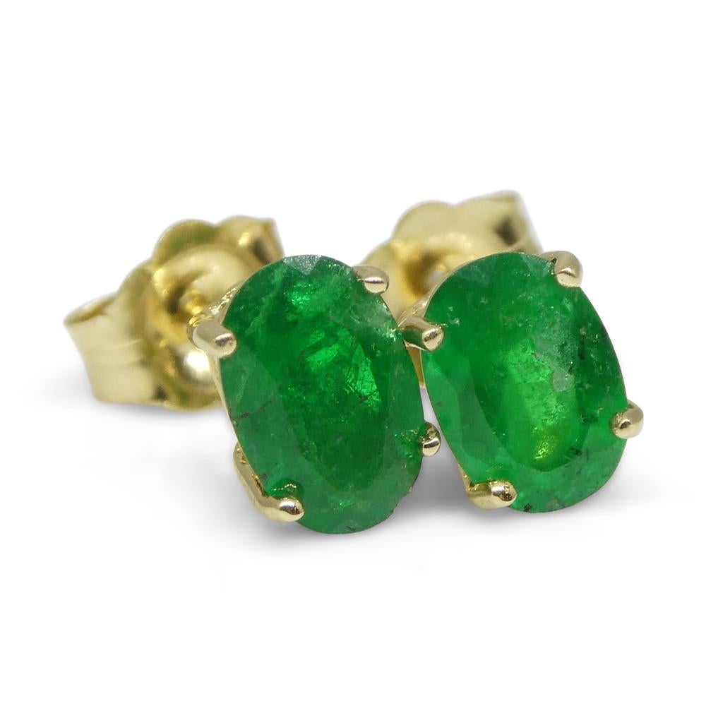 0.80ct Oval Green Colombian Emerald Stud Earrings set in 14k Yellow Gold For Sale 4
