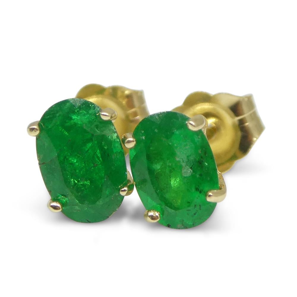 0.80ct Oval Green Colombian Emerald Stud Earrings set in 14k Yellow Gold For Sale 5