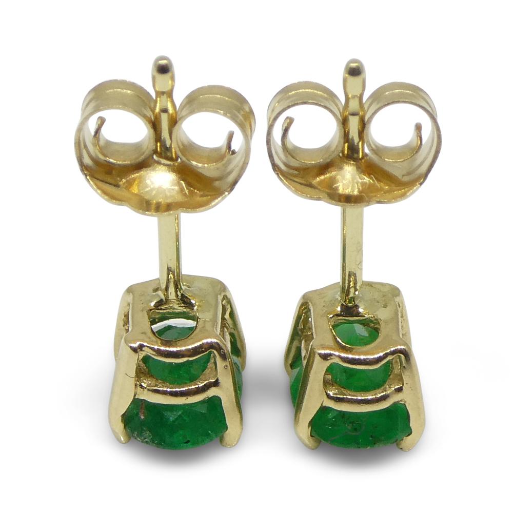 0.80ct Oval Green Colombian Emerald Stud Earrings set in 14k Yellow Gold 6