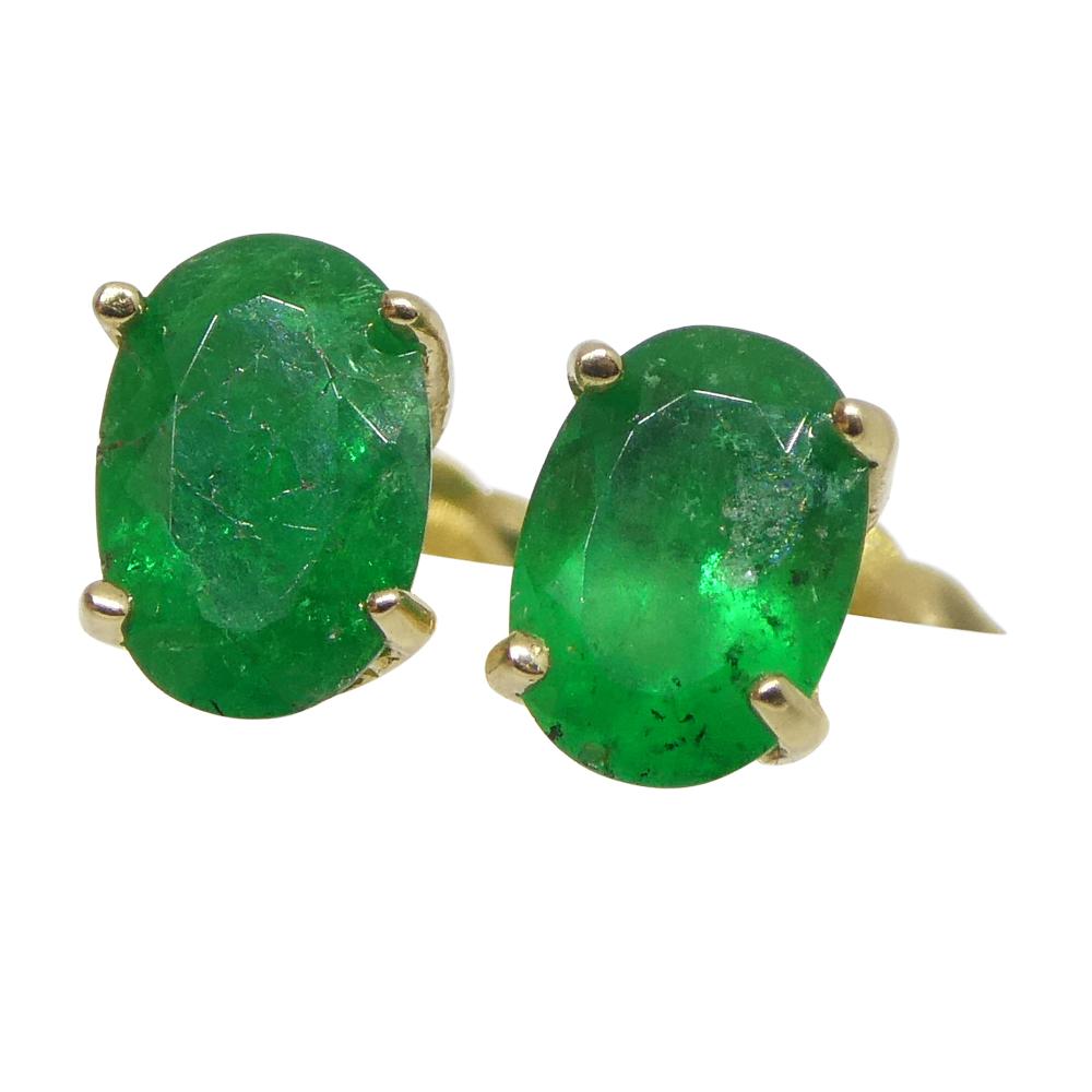 0.80ct Oval Green Colombian Emerald Stud Earrings set in 14k Yellow Gold 7