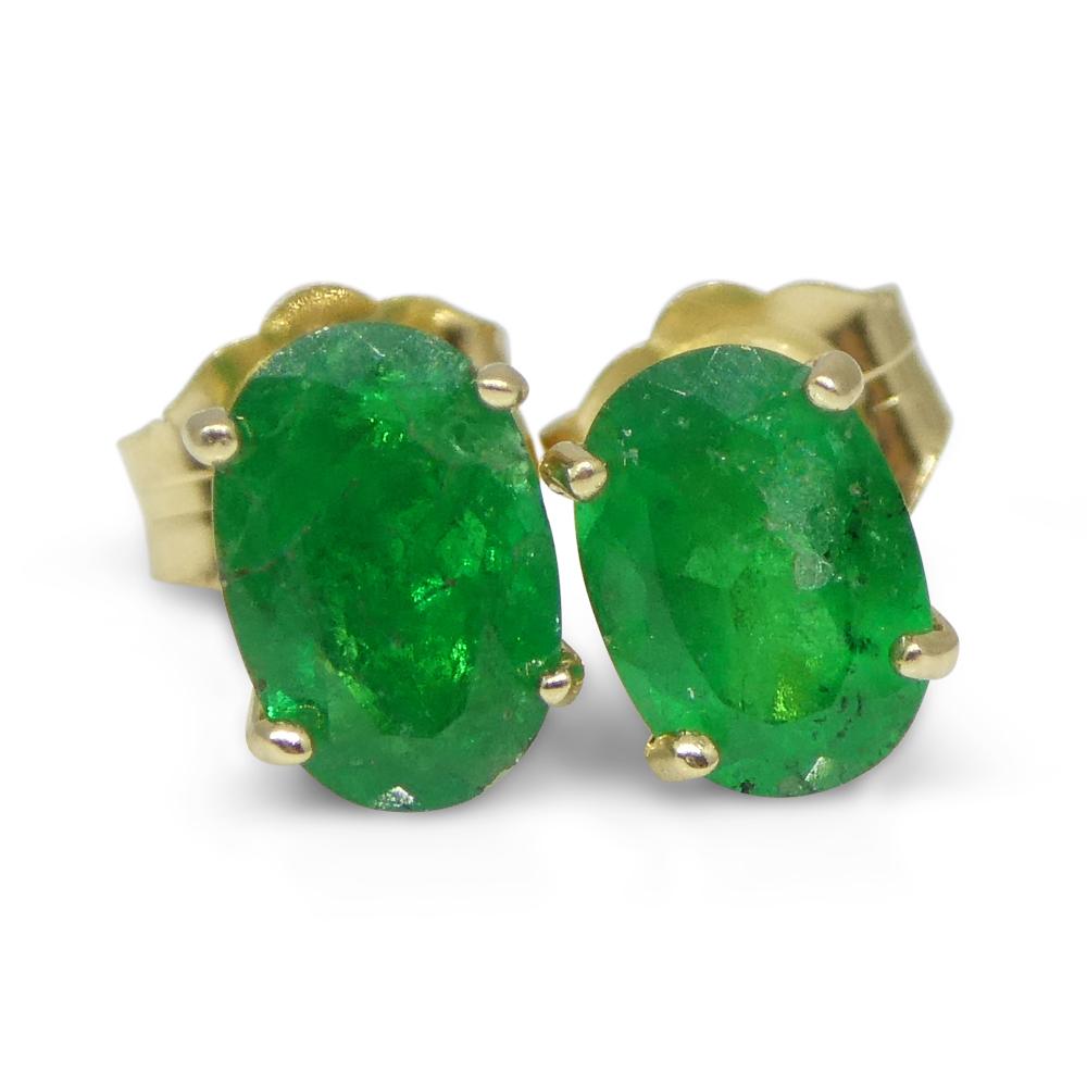 0.80ct Oval Green Colombian Emerald Stud Earrings set in 14k Yellow Gold For Sale 8