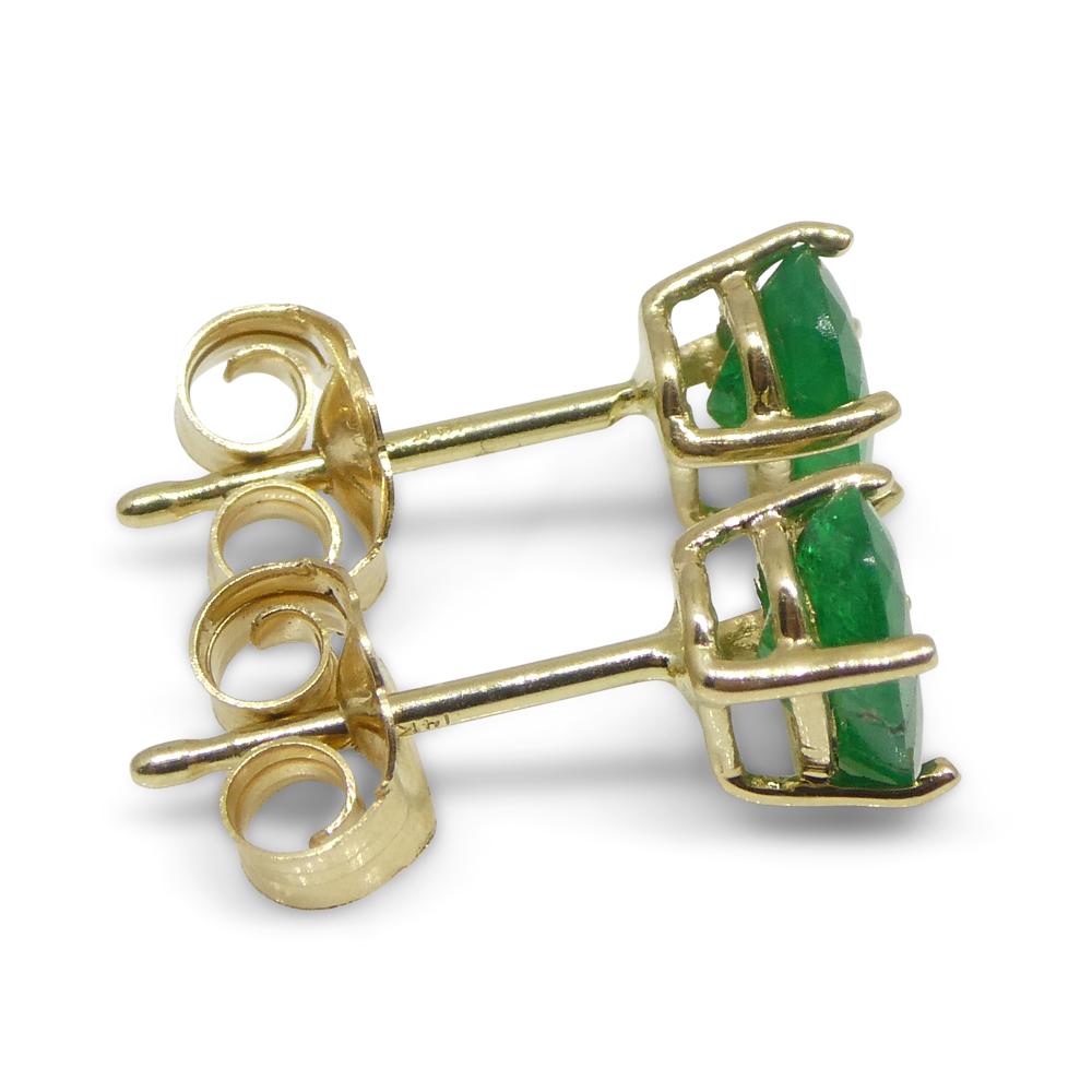 0.80ct Oval Green Colombian Emerald Stud Earrings set in 14k Yellow Gold 9