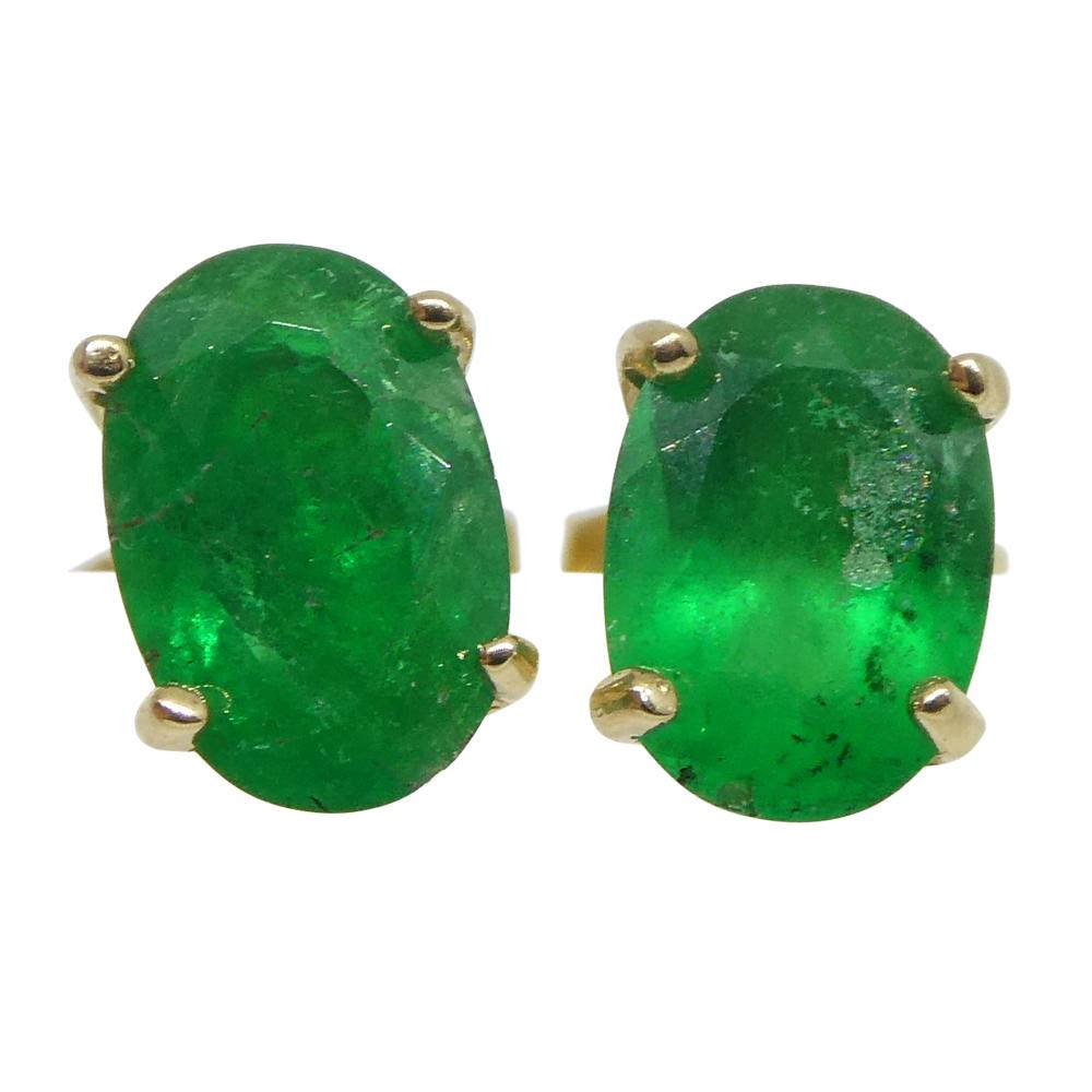 0.80ct Oval Green Colombian Emerald Stud Earrings set in 14k Yellow Gold 10