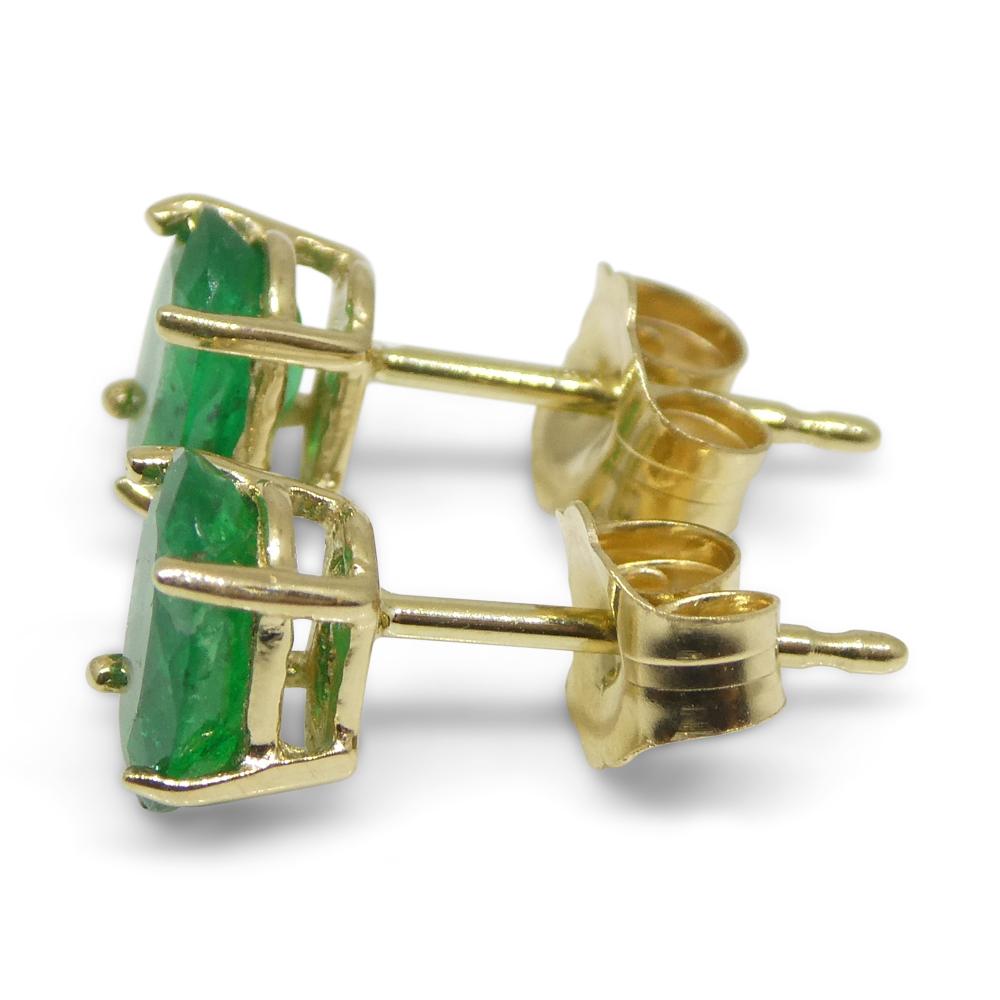 0.80ct Oval Green Colombian Emerald Stud Earrings set in 14k Yellow Gold For Sale 11
