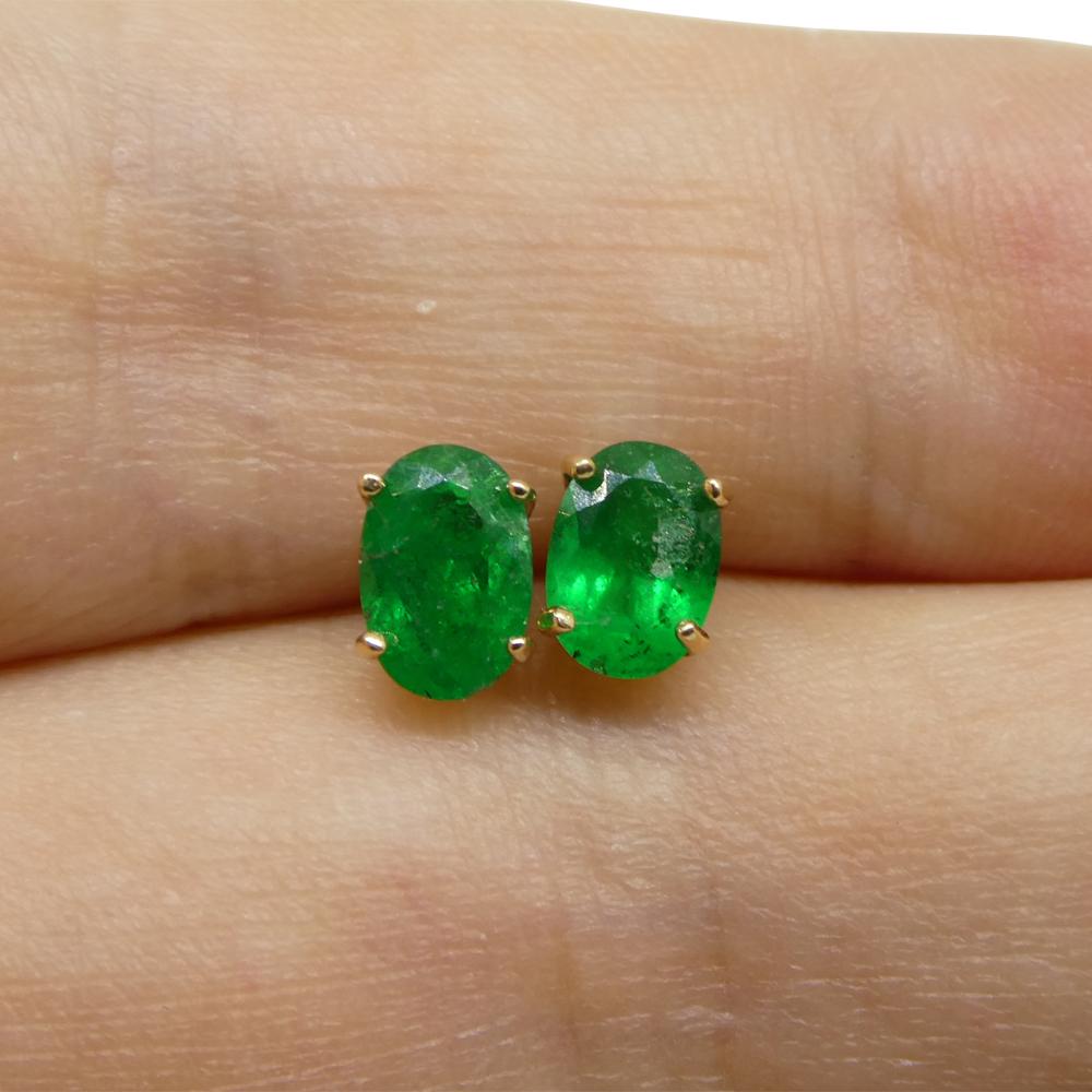 0.80ct Oval Green Colombian Emerald Stud Earrings set in 14k Yellow Gold For Sale 13