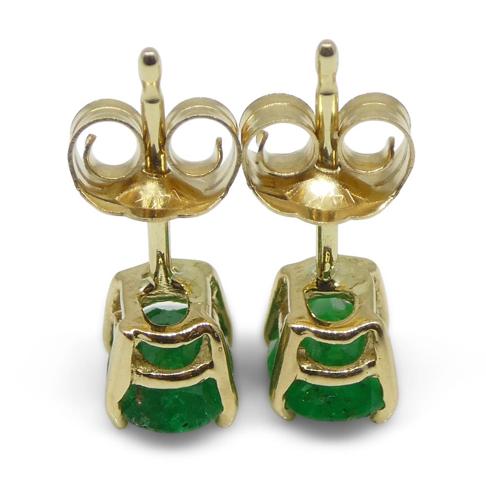 Contemporary 0.80ct Oval Green Colombian Emerald Stud Earrings set in 14k Yellow Gold For Sale