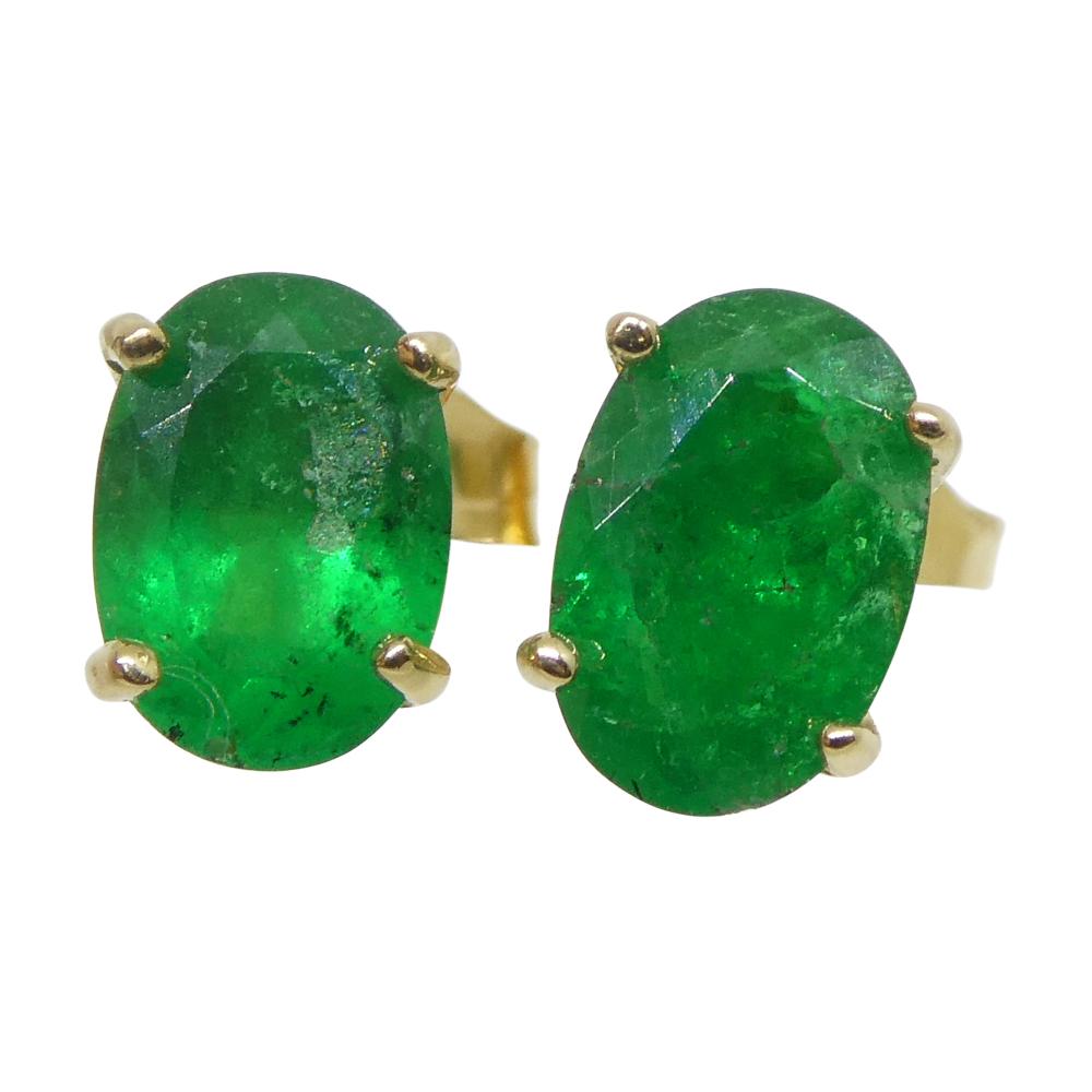 0.80ct Oval Green Colombian Emerald Stud Earrings set in 14k Yellow Gold In New Condition In Toronto, Ontario