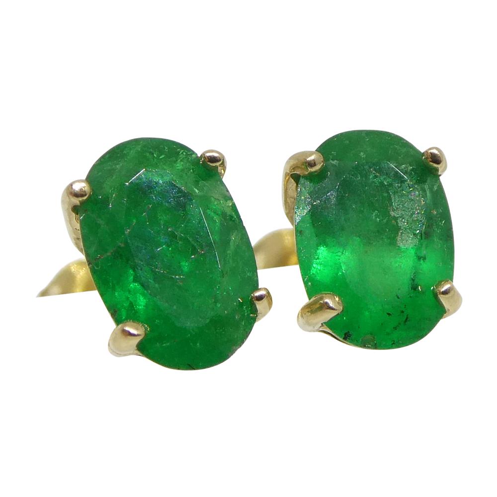 Women's or Men's 0.80ct Oval Green Colombian Emerald Stud Earrings set in 14k Yellow Gold For Sale