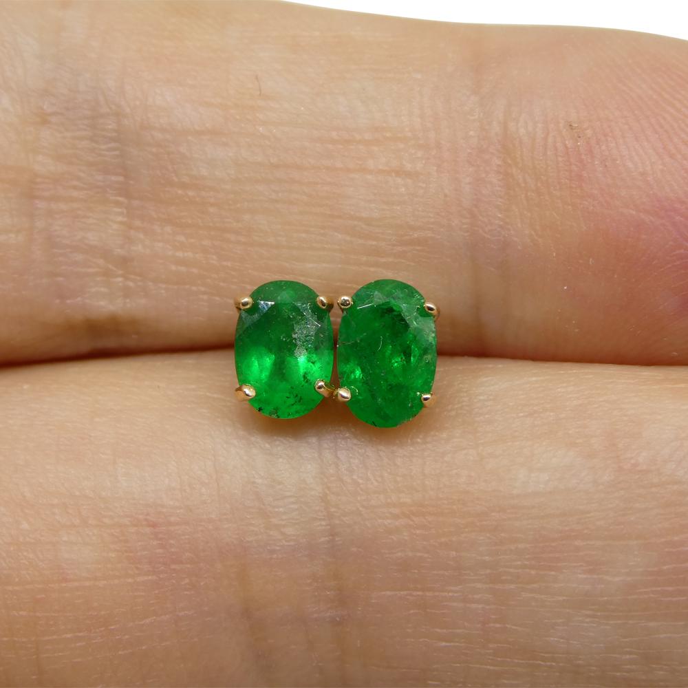 0.80ct Oval Green Colombian Emerald Stud Earrings set in 14k Yellow Gold For Sale 1