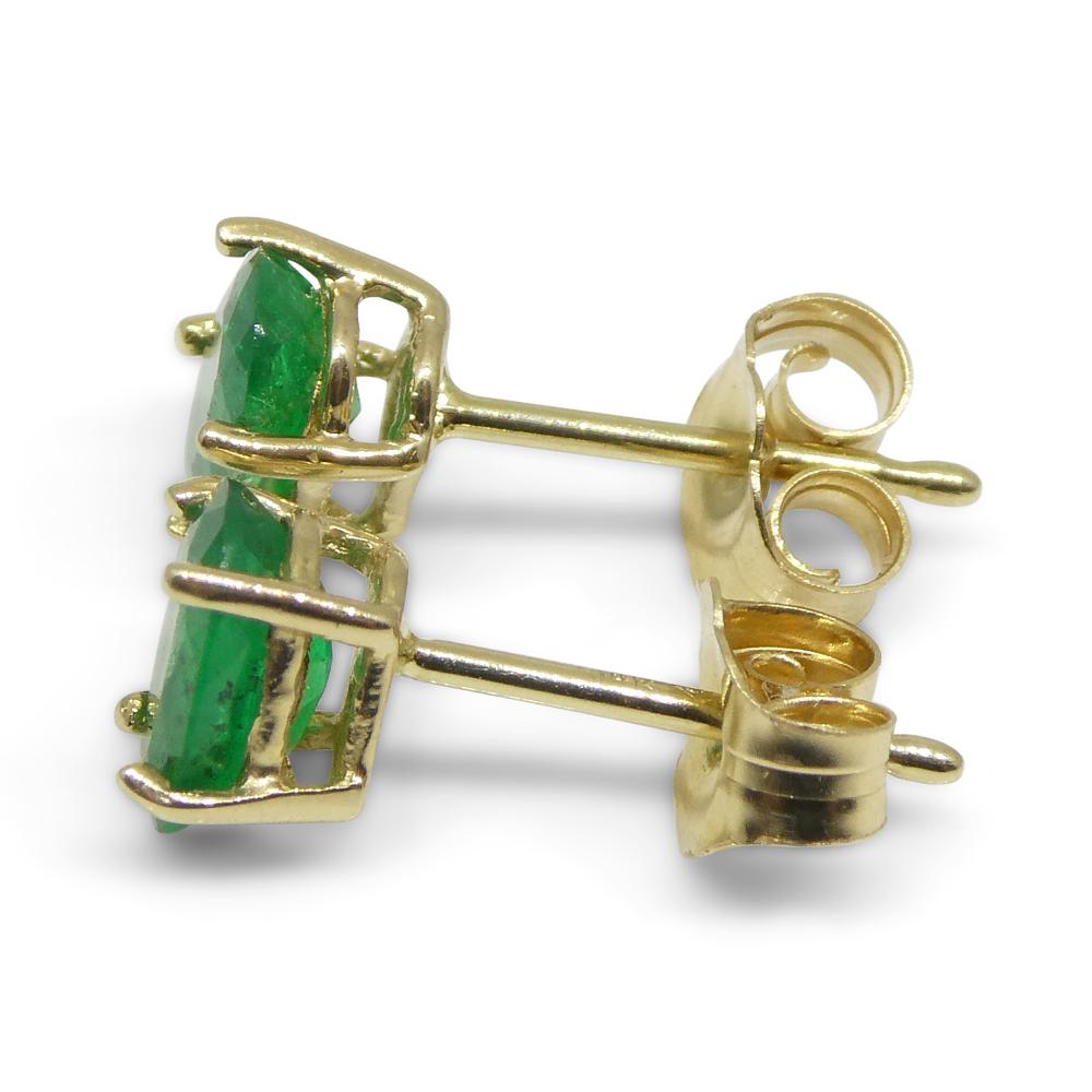 0.80ct Oval Green Colombian Emerald Stud Earrings set in 14k Yellow Gold For Sale 3