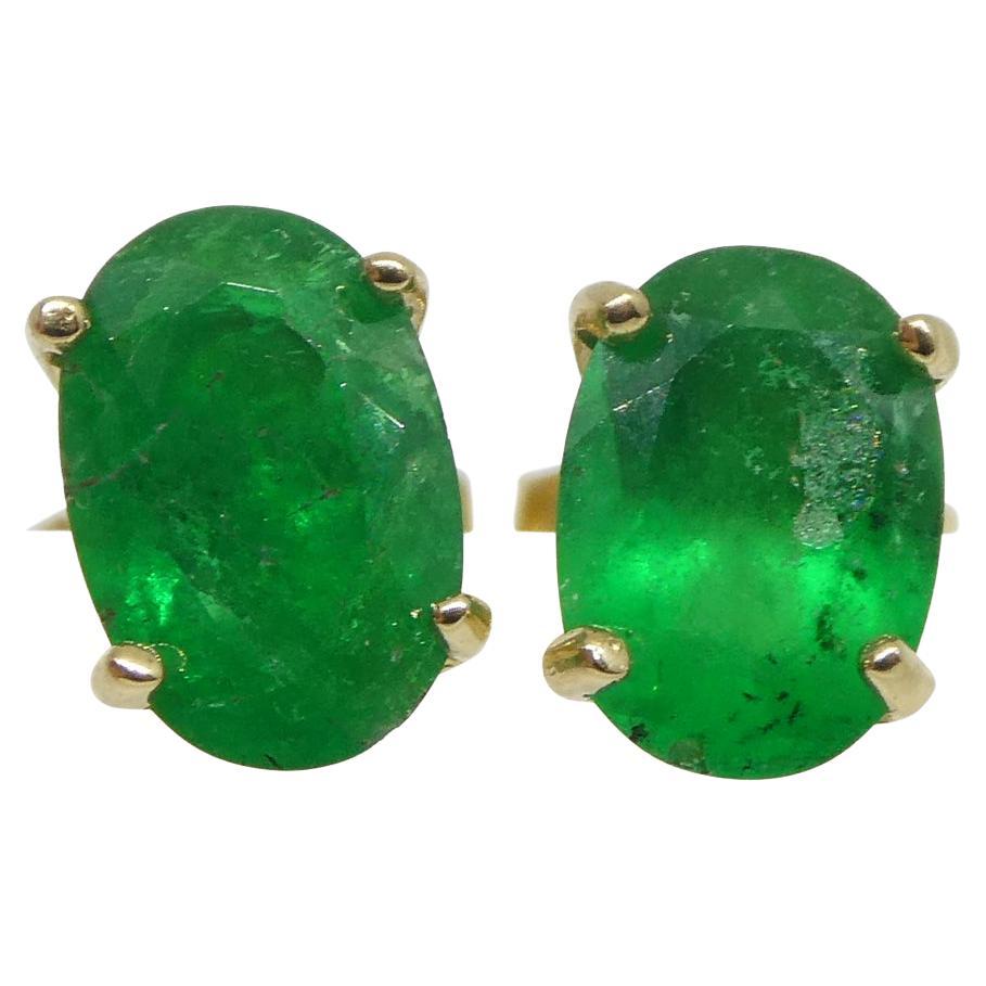 0.80ct Oval Green Colombian Emerald Stud Earrings set in 14k Yellow Gold For Sale