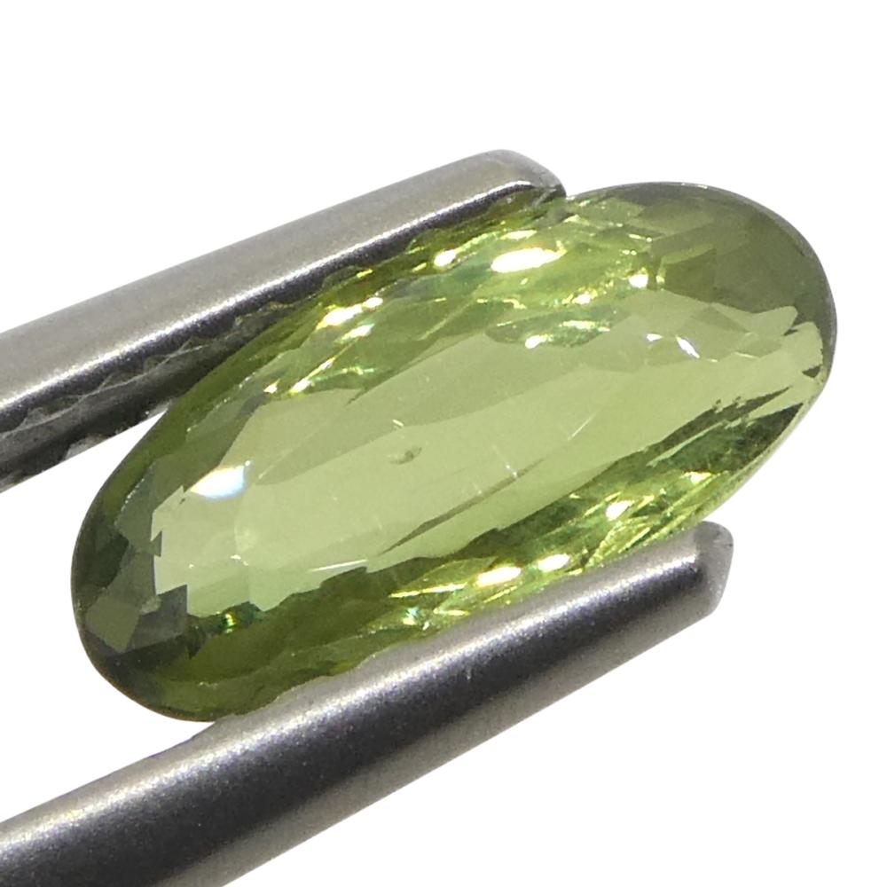 0.83ct Ovaler gelblich grüner bis gelblich brauner Alexandrit aus Sri Lanka im Zustand „Neu“ im Angebot in Toronto, Ontario