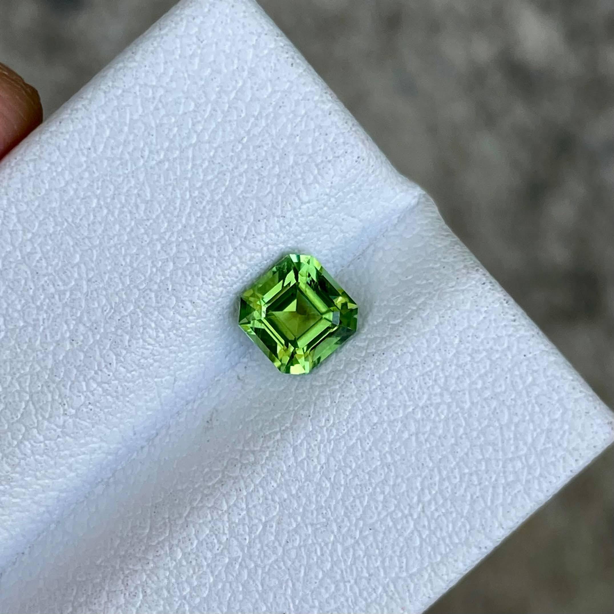 Poids 0,84 carats 
Dimensions 5,5x5,4x3,9 mm 
Traitement aucun
Origine Afghanistan 
Clarté VVS 
Forme octogonale 
Couper l'asscher 



La tourmaline vert menthe de 0.84 carats, méticuleusement taillée en forme d'octogone, est un exemple frappant du