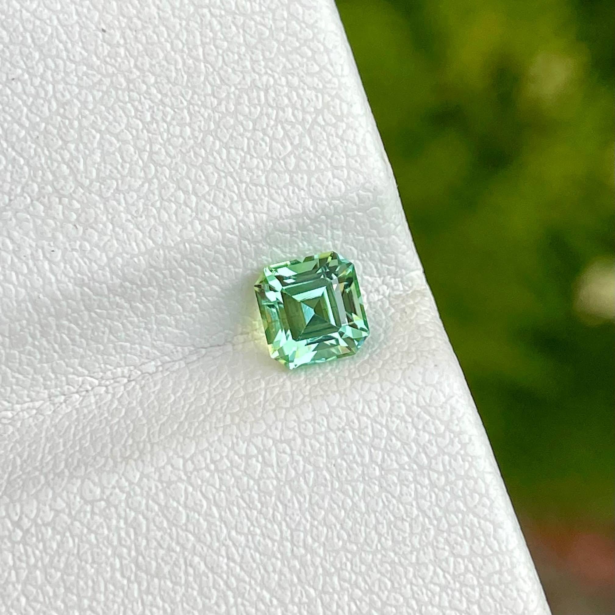 Weight 0.85 carats 
Dimensions 5.3x5.1x4.3 mm
Treatment none 
Origin Afghanistan 
Clarity loupe clean 
Shape octagon 
Cut emerald  



The 0.85 carats Light Green Tourmaline stone, meticulously cut into a emerald shape, is a striking example of