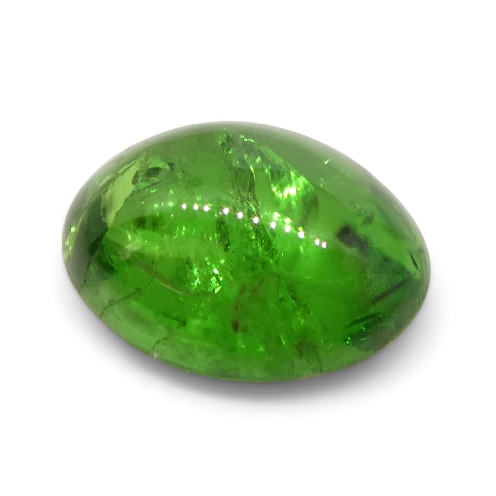 Description:

Gem Type: Tsavorite Garnet 
Number of Stones: 1
Weight: 0.87 cts
Measurements: 6.80 x 5.05 x 2.90 mm
Shape: Oval
Cutting Style Crown: 
Cutting Style Pavilion:  
Transparency: Transparent
Clarity: Moderately Included: Inclusions easily