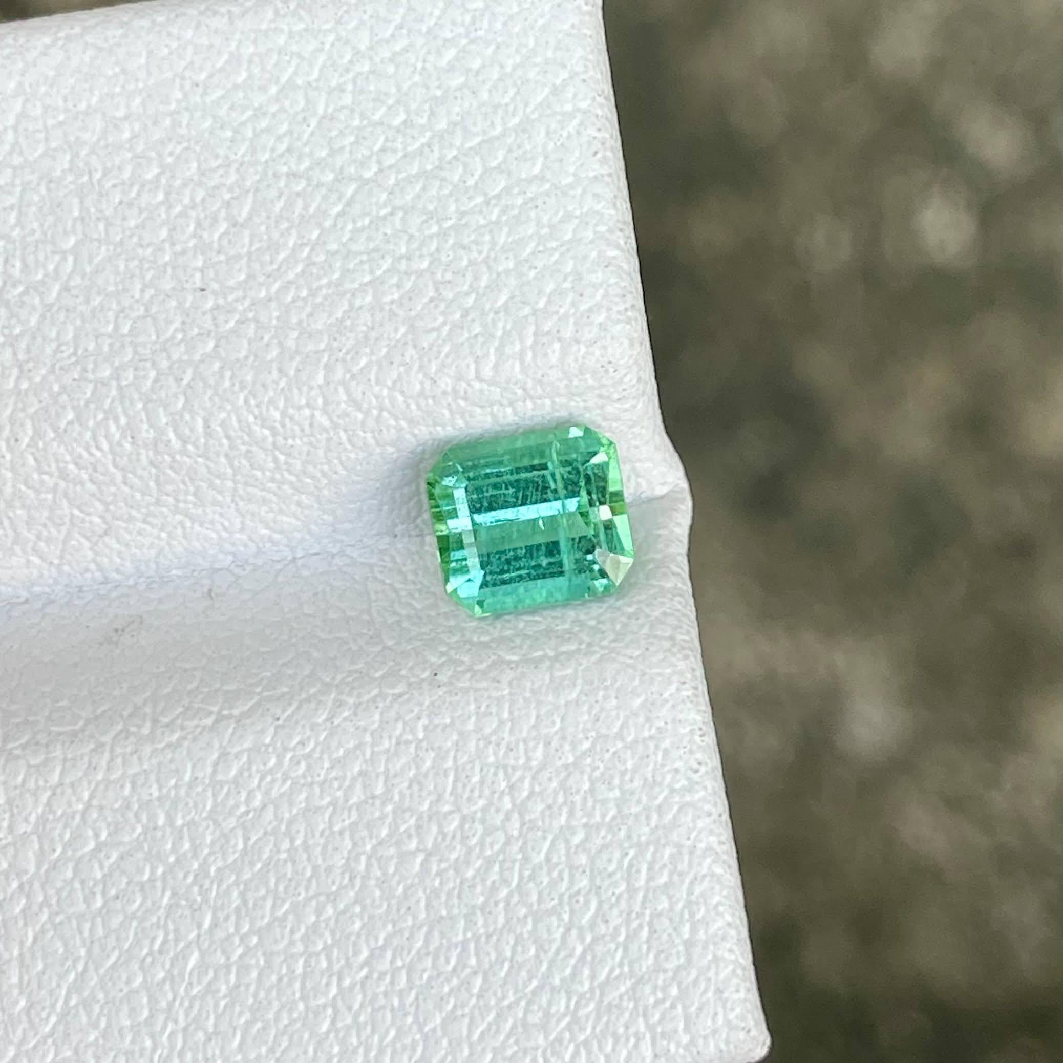 Peso 0,88 carati 
Dimensioni 5.6x5.0x3.8 mm
Trattamento nessuno 
Origine Afghanistan 
Chiarezza SI
Forma ottagonale 
Taglio smeraldo 



La tormalina verde bluastra Lagoon da 0,88 carati, tagliata meticolosamente a forma di smeraldo, è un esempio