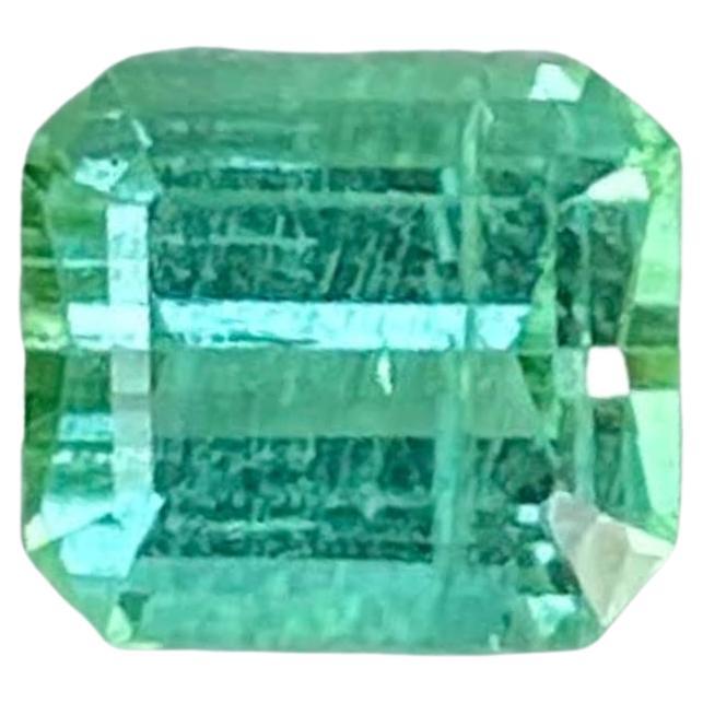 0,88 quilates Turmalina verde azulada laguna talla esmeralda Gema afgana