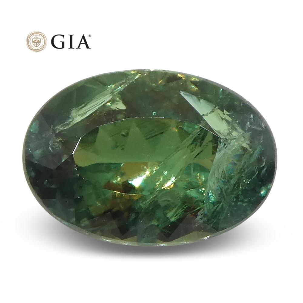Si tratta di una splendida Alessandrite certificata GIA 

Il rapporto GIA recita come segue:

Numero del rapporto GIA: 1216402110
Forma: Ovale
Stile di taglio: Taglio Brillante Modificato
Stile di taglio: Corona: 
Stile di taglio: Padiglione: