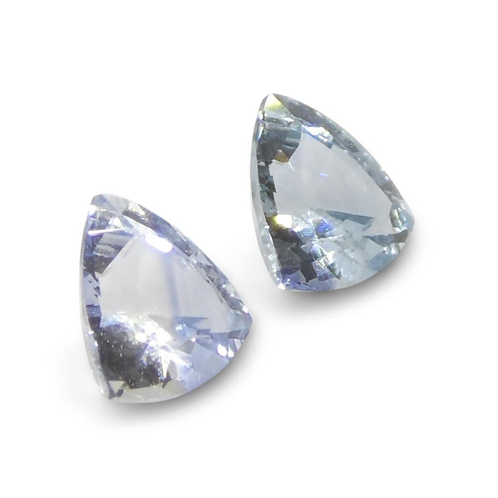 0.8ct Trillion Blue Sapphire from Sri Lanka For Sale 6