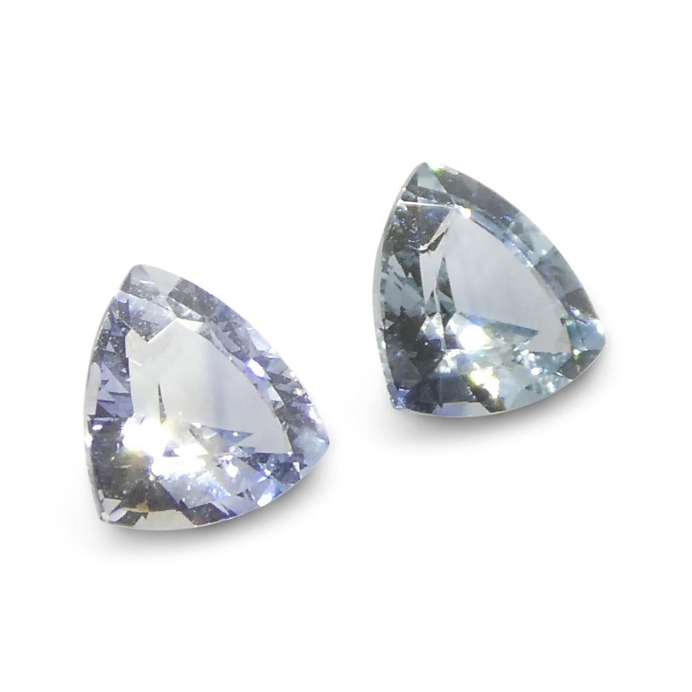 0.8ct Trillion Blue Sapphire from Sri Lanka For Sale 7