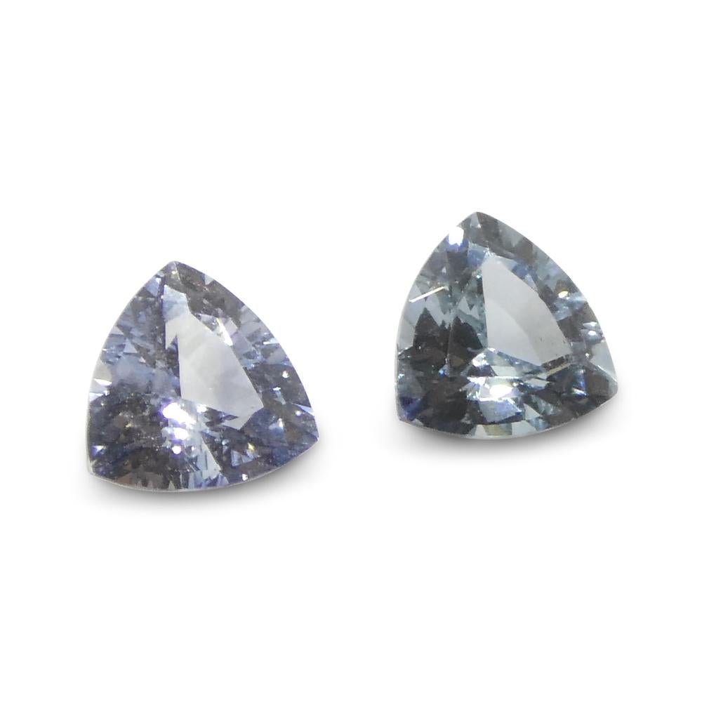 0.8ct Trillion Blue Sapphire from Sri Lanka For Sale 8