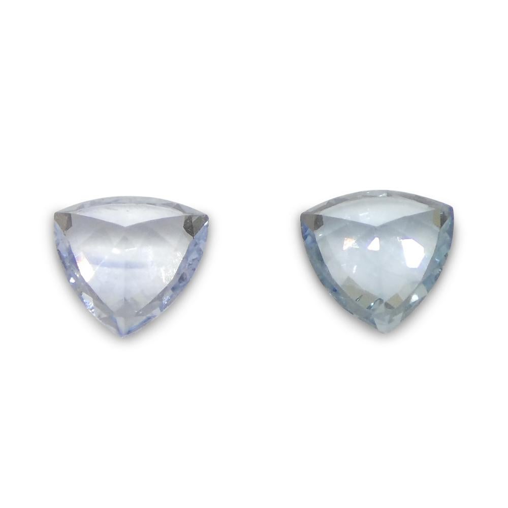 Women's or Men's 0.8ct Trillion Blue Sapphire from Sri Lanka For Sale