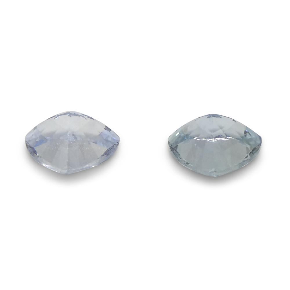 0.8ct Trillion Blue Sapphire from Sri Lanka For Sale 1