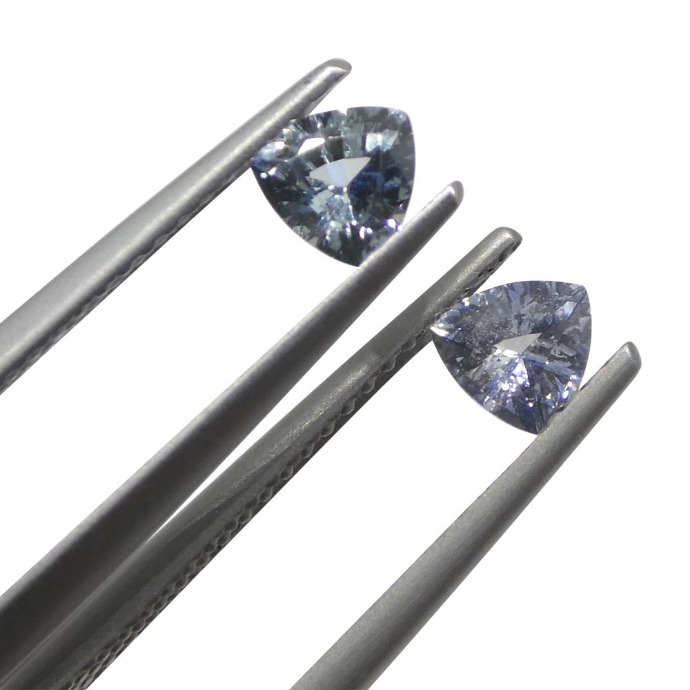 0.8ct Trillion Blue Sapphire from Sri Lanka For Sale 2
