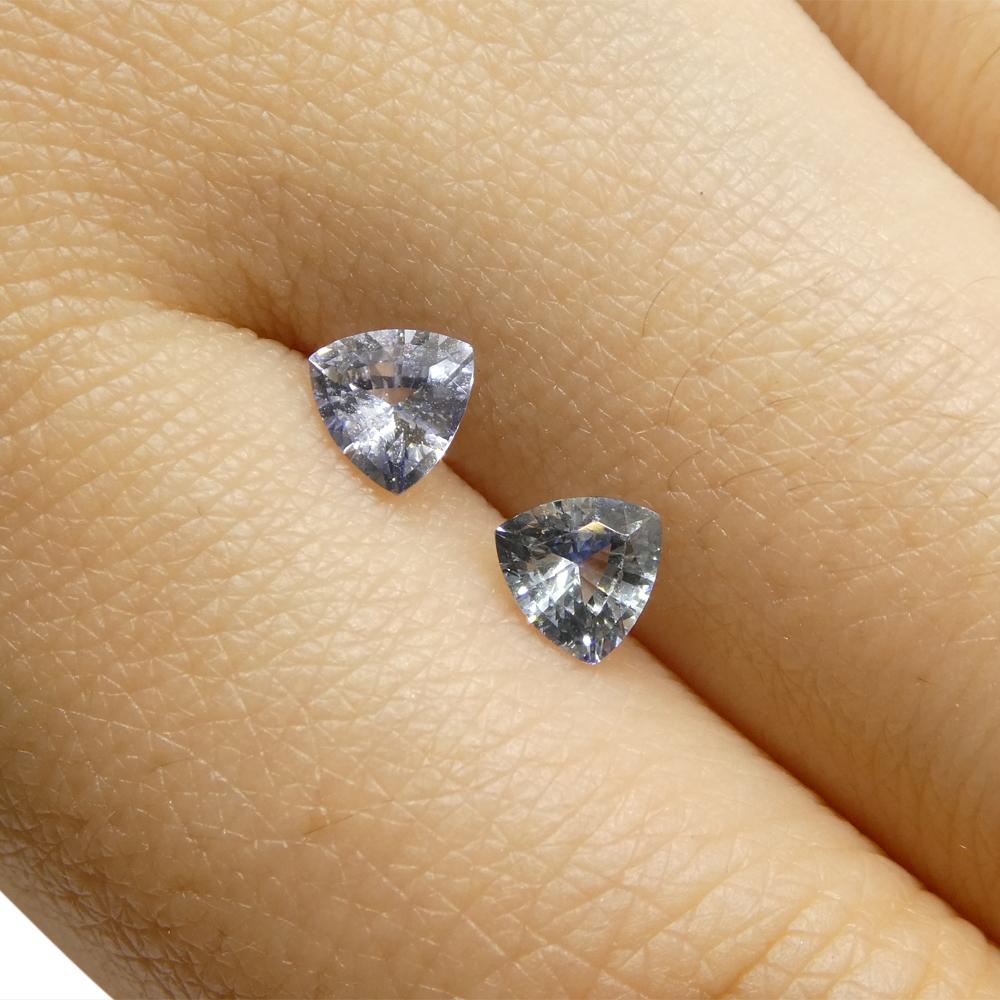 0.8ct Trillion Blue Sapphire from Sri Lanka For Sale 3