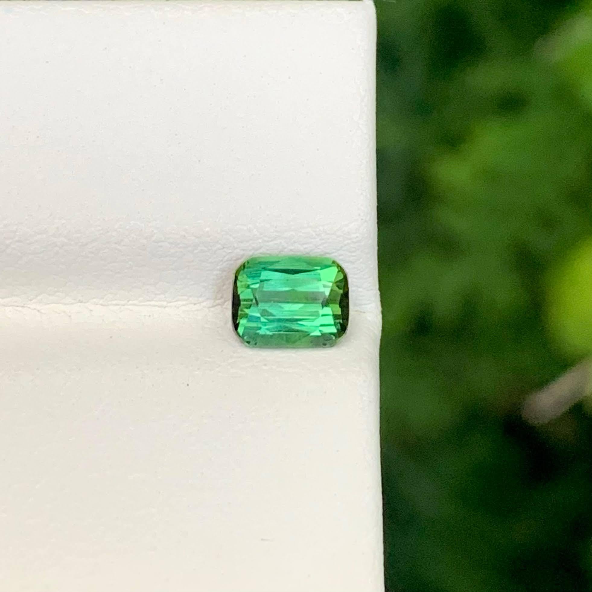 Poids  0,90 carat 
Dimensions 6,0x4,2x3,3 mm
Traitement Aucun
Origine afghane 
Clarté VVS 
Forme Coupe Coussin 





Cette tourmaline verte menthe en vrac de 0,90 carat est une pierre précieuse délicate mais éblouissante, présentant une teinte vert